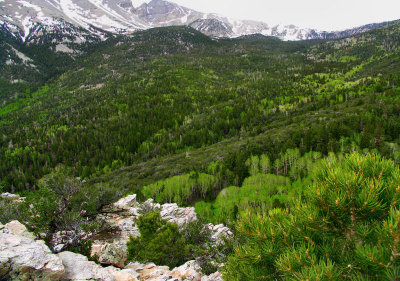 Great Basin National Park pb tw.jpg