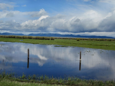 Montana Big Sky's pw c.jpg
