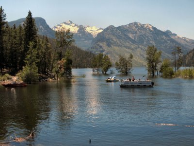 Como Lake, Mt.  paw c.jpg