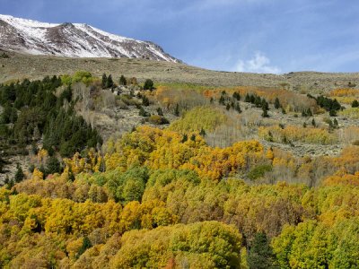 Fall in the Sierra's tlw.jpg