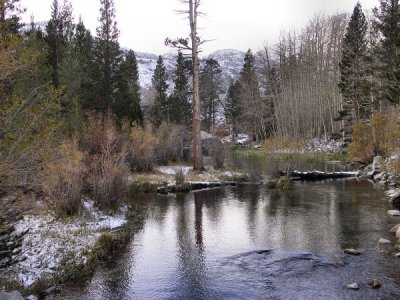 Near Lake Sabrina Ca.   tlw.jpg