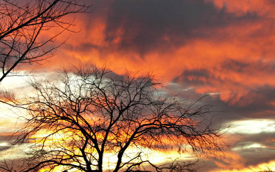 Tombstone Sunset Tom West
