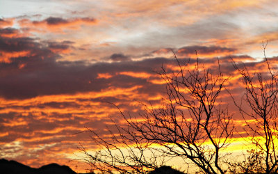 Tombstone Sunset Tom West