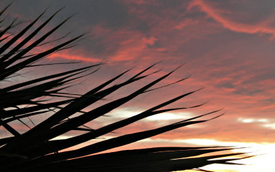 Yuma, Az Sunset Tom West