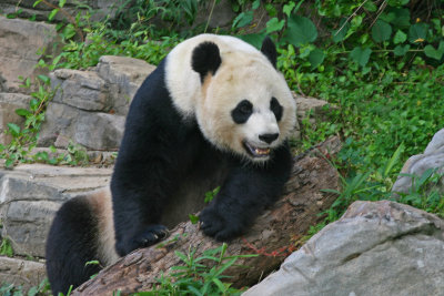 National Zoo