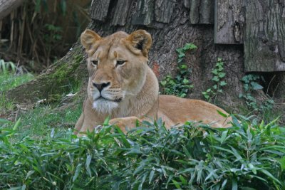 National Zoo