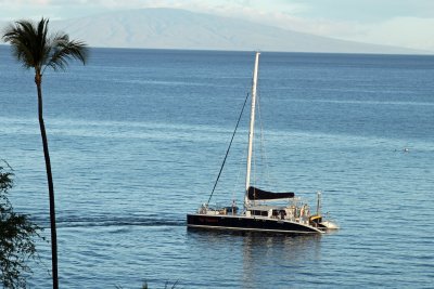 IMG_2496.JPG