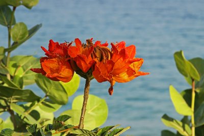 IMG_2643.JPG
