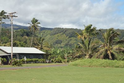 IMG_3136.JPG