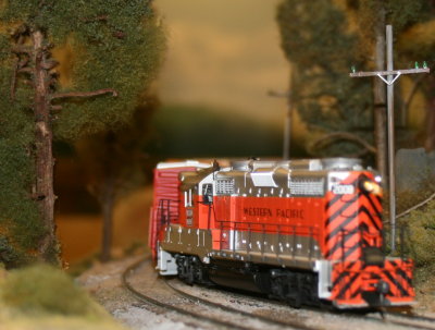 Mtn local returning to Fallon