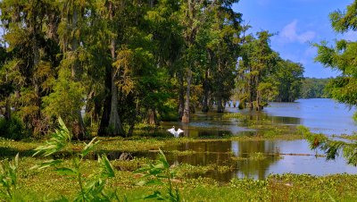 Lake Martin at Pump Station