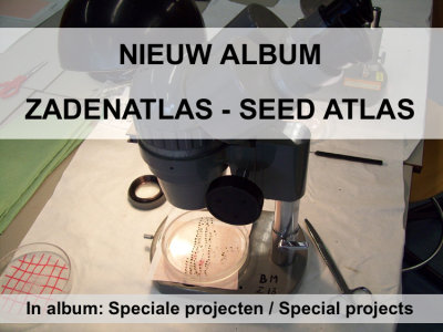 Zadenatlas / Seed atlas