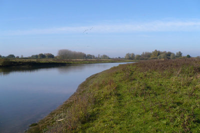 Sleeuwijkse Uiterwaarden