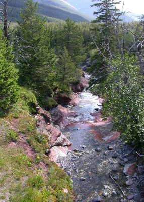 Stream in the Rockies