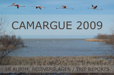 Camargue 2009