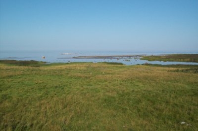 Pulgoja coastline