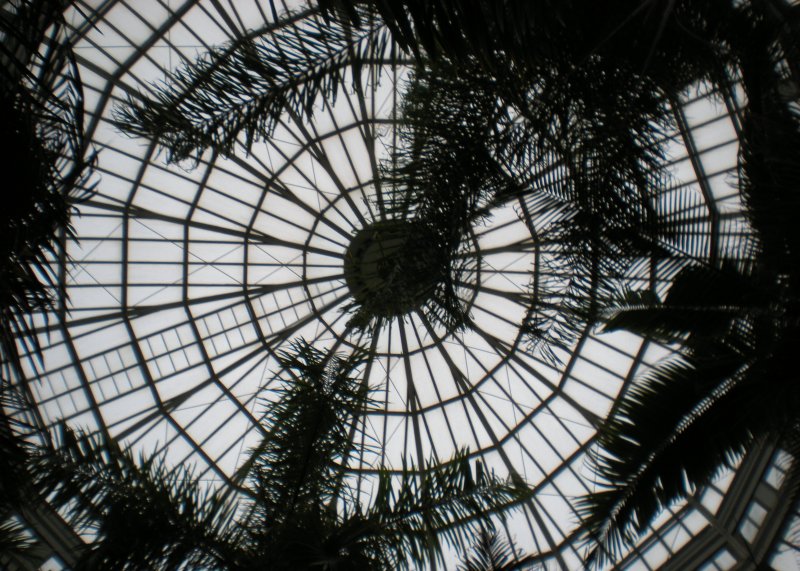 Mcneely Conservatory