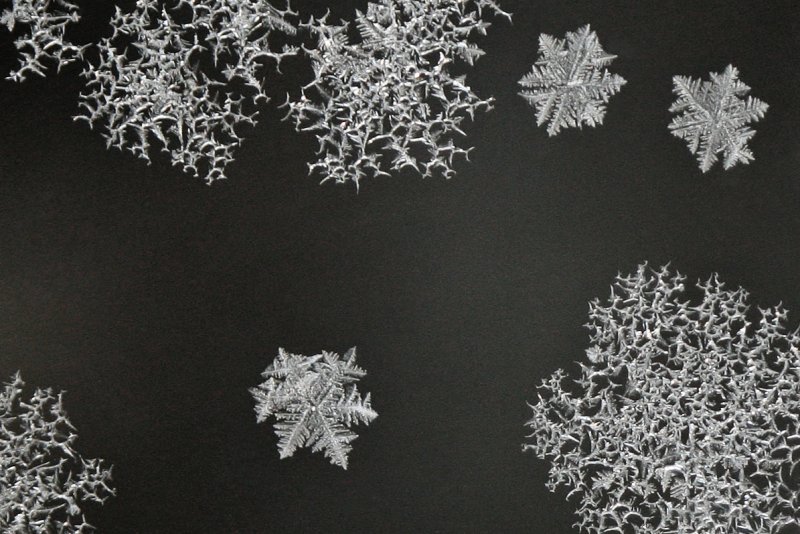 Frost