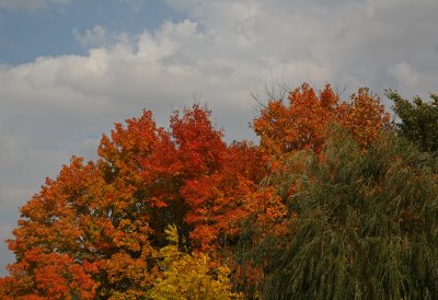 Autumn