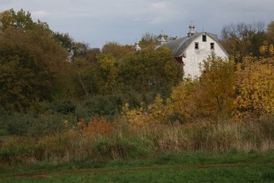 Autumn