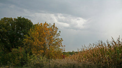 Autumn
