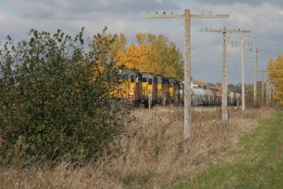 Autumn