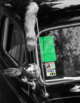 Back to the 50's