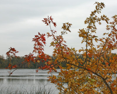 g1/13/777113/3/118550894.n1dr5tq5.jpg