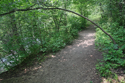 Minnehaha Creek