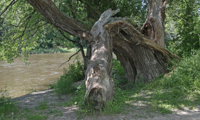 Cannon River