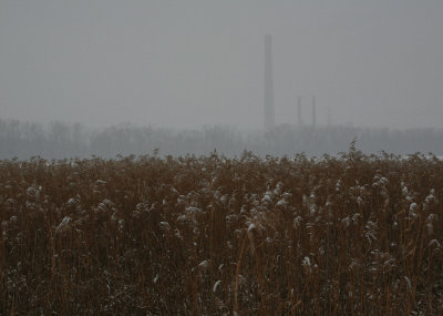 Black Dog Power Plant