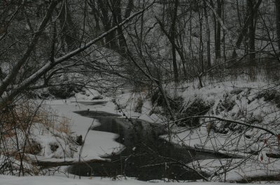 Creek flows to the Minnesota River