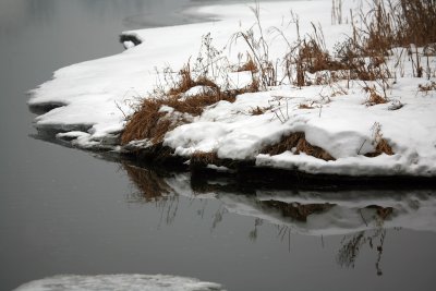 Reflection