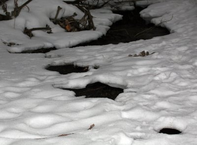 Creek