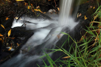 Small Stream