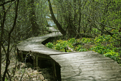 Boardwalk