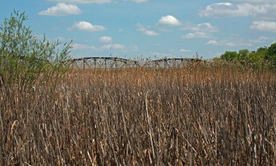 Old Cedar Avenue Bridge