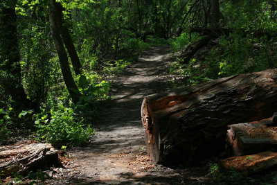 Hiking Trail