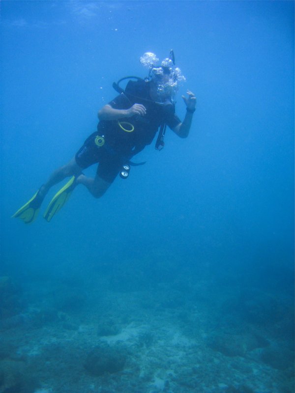 tlc in the Caribbean