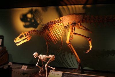Comparison