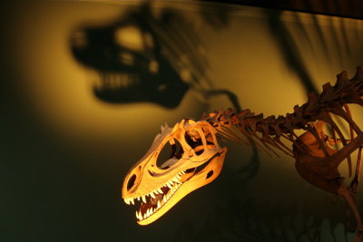 African Dinosaur
