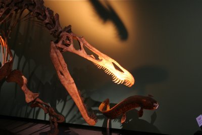 Prehistoric Meal