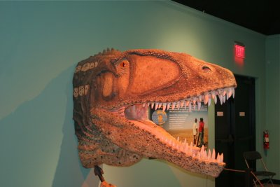 Head Model