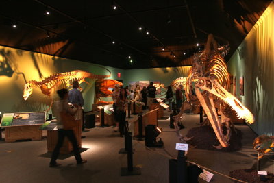 African Dinosaur Exhibit