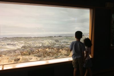 Shoreline Exhibit 2