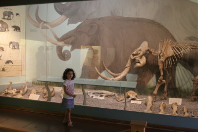 Day at the Museum