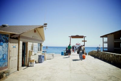 Arrival at Camp