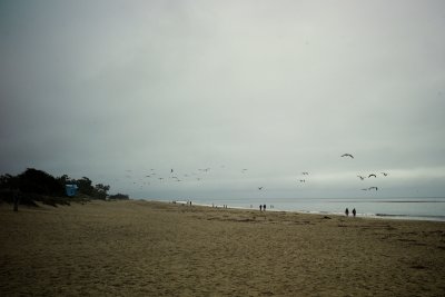 Beach Scene