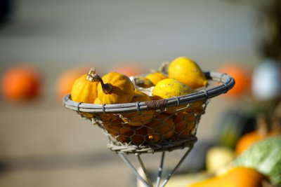 Lil' Pumpkins
