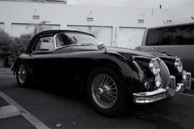 Vintage Jaguar